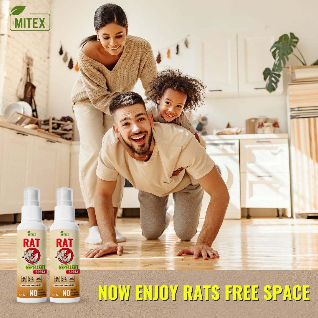 Rat Repellent Spray - Safe, Effective Rat Protection