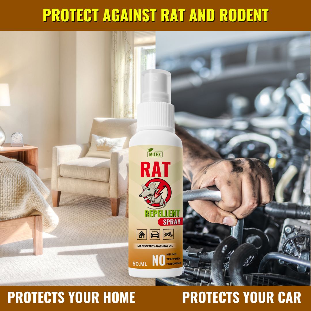 Rat Repellent Spray - Safe, Effective Rat Protection – Mitex.pk