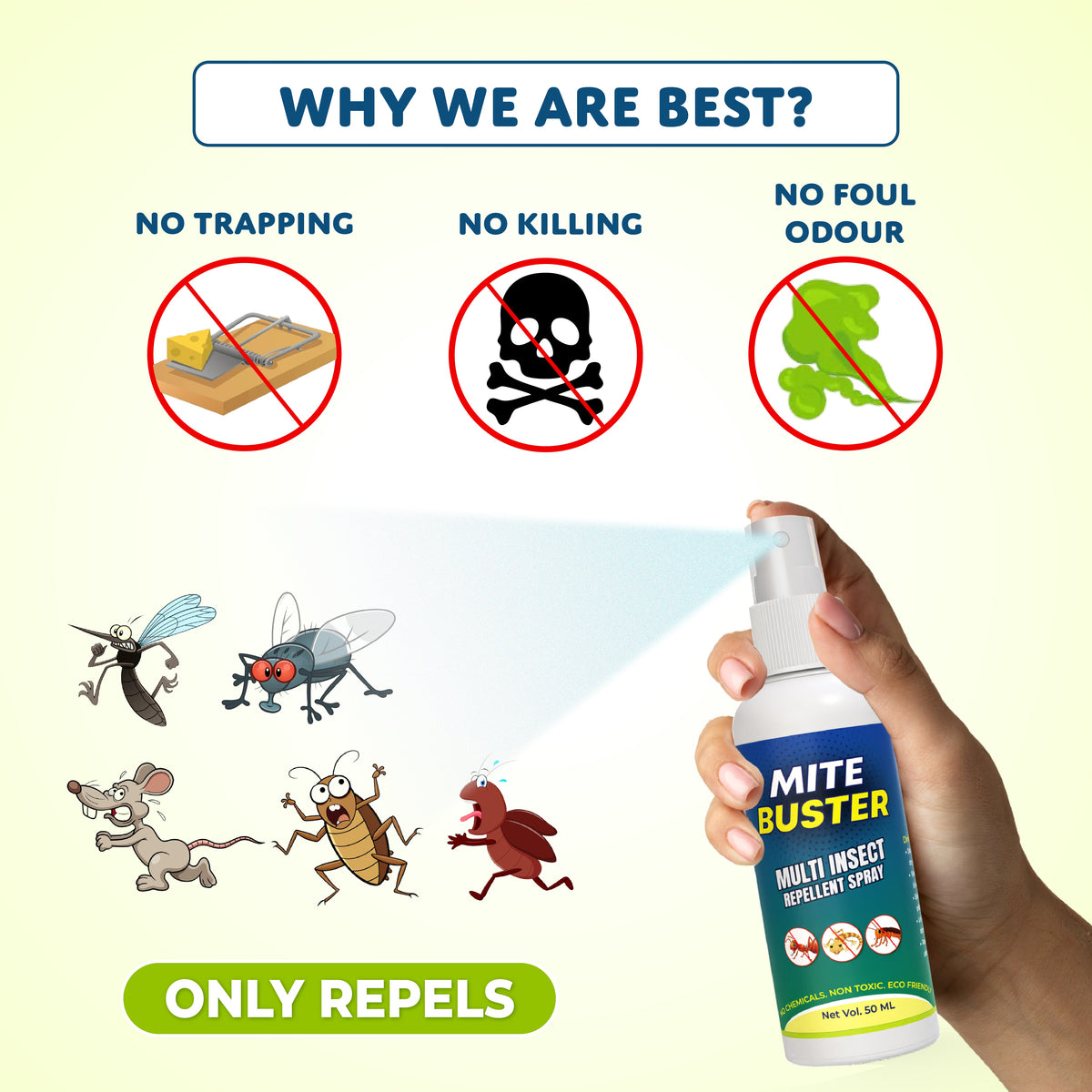 MiteBuster Spray – Ultimate Ant, Cockroach, Bed Bugs, Spider Killer 🪲✨